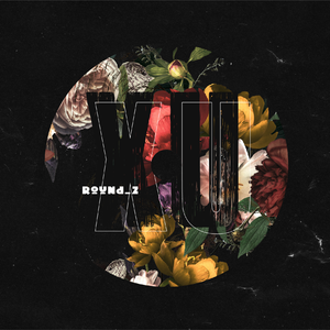 欧美日韩一级电影
